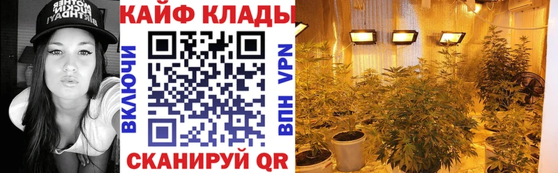 Где продают наркотики Всеволожск Гашиш Псилоцибиновые грибы АМФ Мефедрон Alpha-PVP Канабис