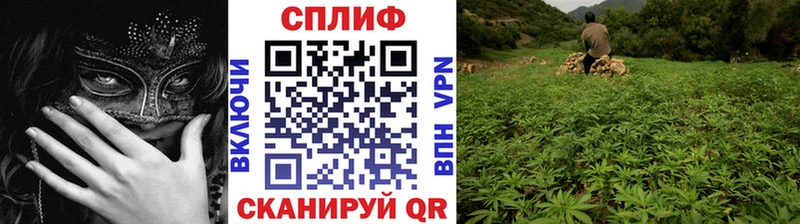 mega ссылки  где найти   Всеволожск  Конопля гибрид 